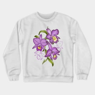 Hand drawn graphic art of orchid flowers. Crewneck Sweatshirt